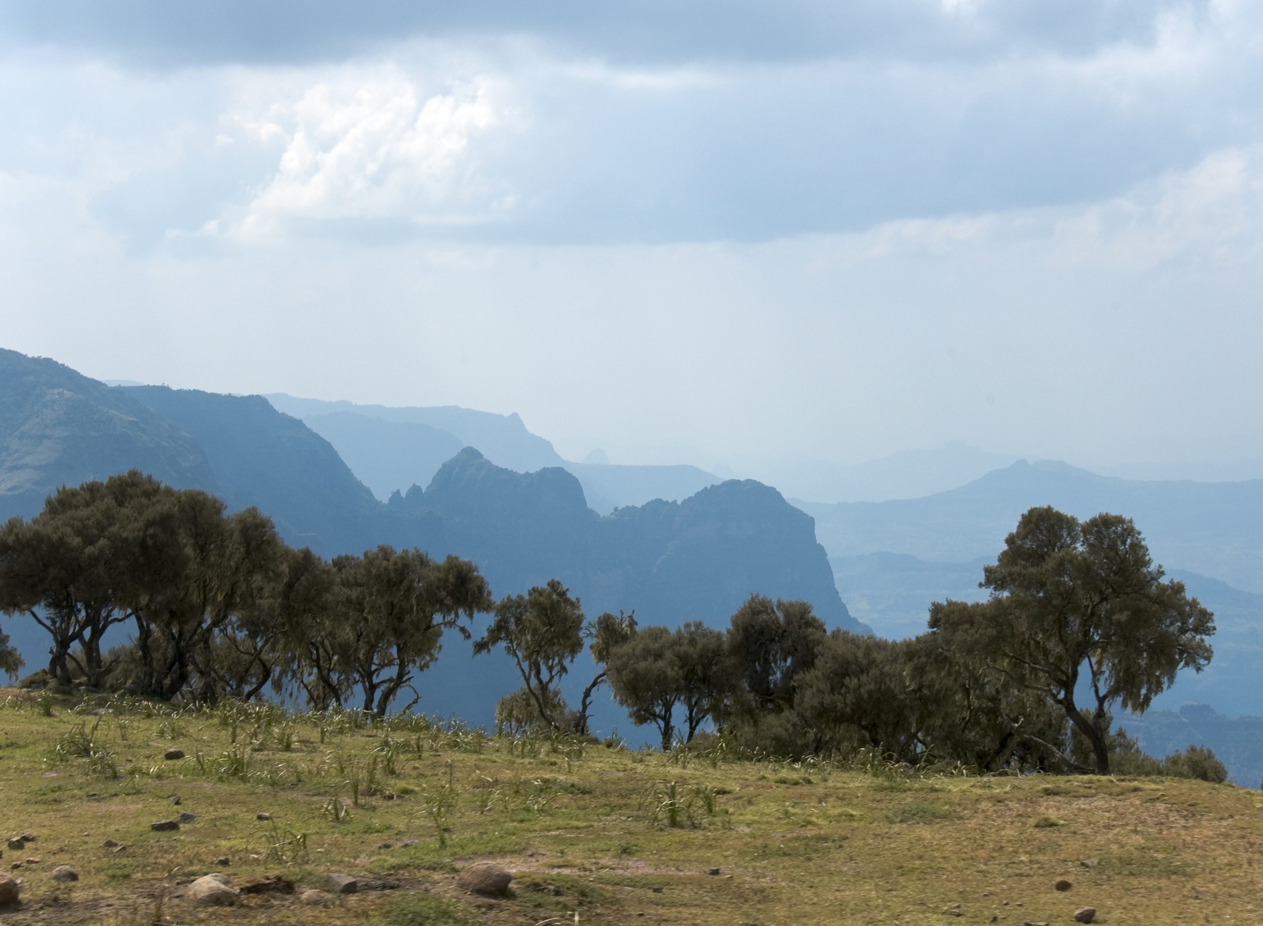 Highland trekking landscape in the Simien Mountains.